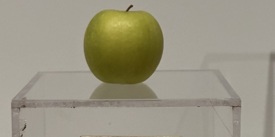 Yoko Ono's 1966 [Apple](https://en.wikipedia.org/wiki/Apple_(artwork)) - which may have served as the inspiration for a certain record label