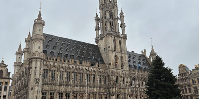 L’albero di novembre sulla Grand Place di Bruxelles, quasi pronto per l’accensione e la promozione ad albero di Natale